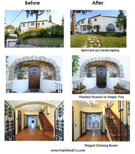 Before and After Photos