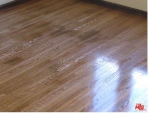 today silly mls photo hardwood floors