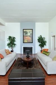 web_living room-fireplace, Home Staging on a Budget, home selling