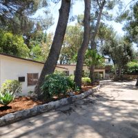 Multiple Offers in La Crescenta 1