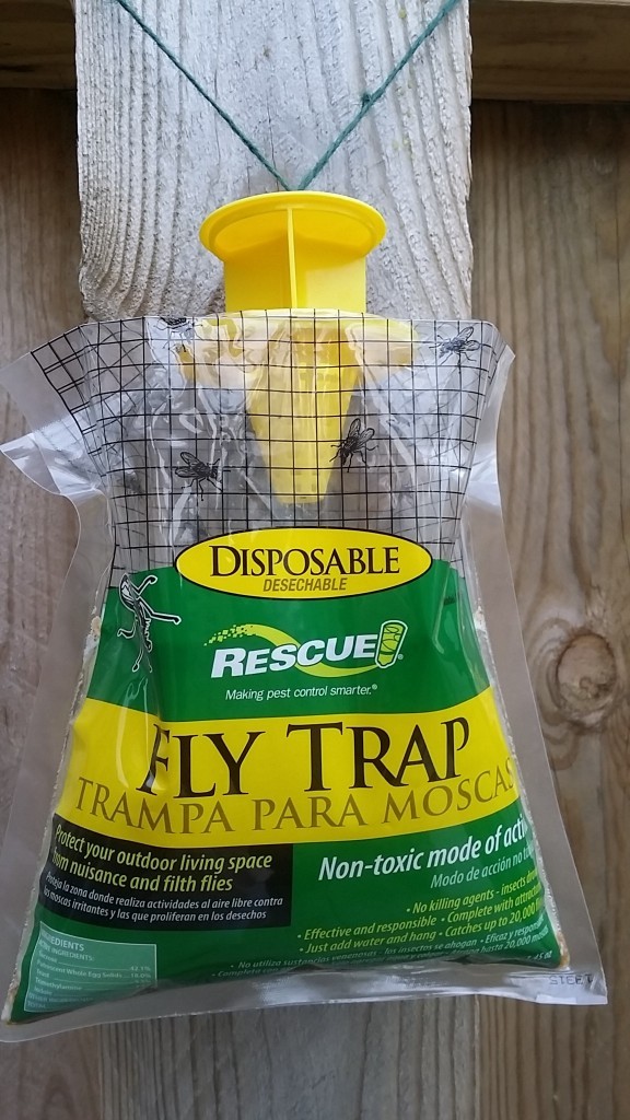 Fly trap