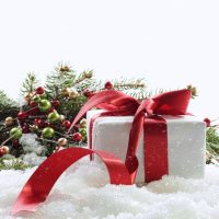 Los Angeles Christmas Events