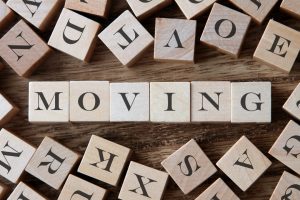Moving is my business, but I don't want to move 2