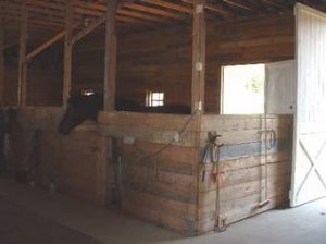 burbank-equestrian-homes-for-sale-phyllis-harb