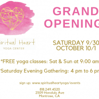 spiritual heart yoga montrose yoga center studio Krissy Harb