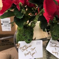 Harb and Co. Real Estate Update and Holiday Gifting 2