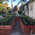 Raised Container Gardening Beds