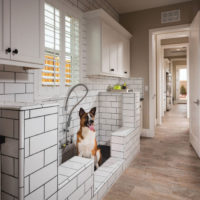 Remodeling trends for dog owners 1