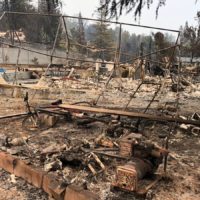 Navigating the aftermath of the Los Angeles wildfires