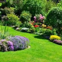 Perfect Lawn