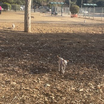 Top Dog Parks La Crescenta Glendale and Pasadena Neighborhoods