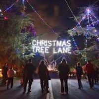 Christmas Tree Lane