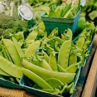 Spring at La Canada Farmers Market